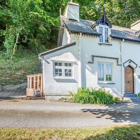Braich-Y-Celyn Lodge Aberdyfi Esterno foto