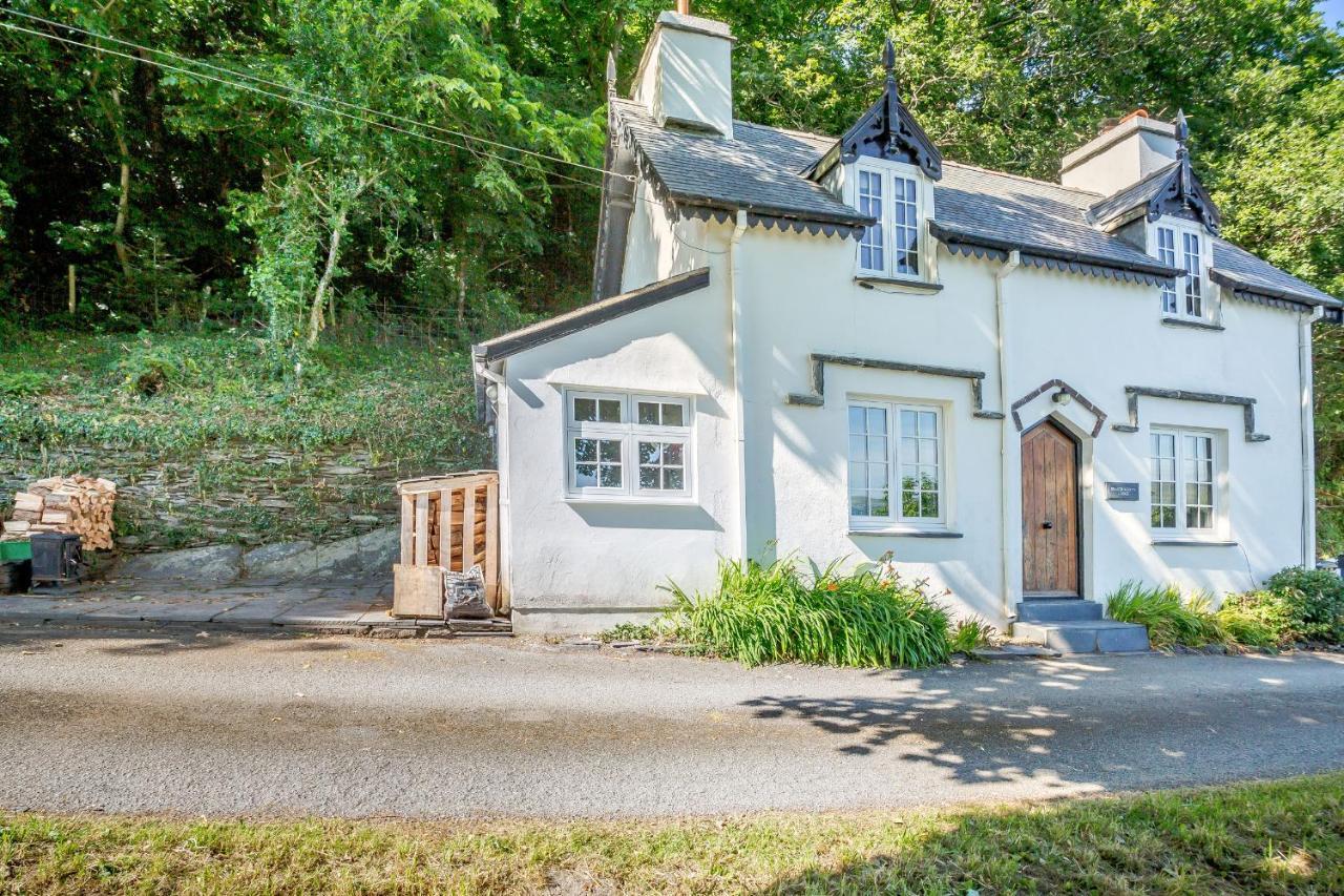 Braich-Y-Celyn Lodge Aberdyfi Esterno foto
